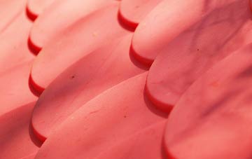 Belper plastic roof costs